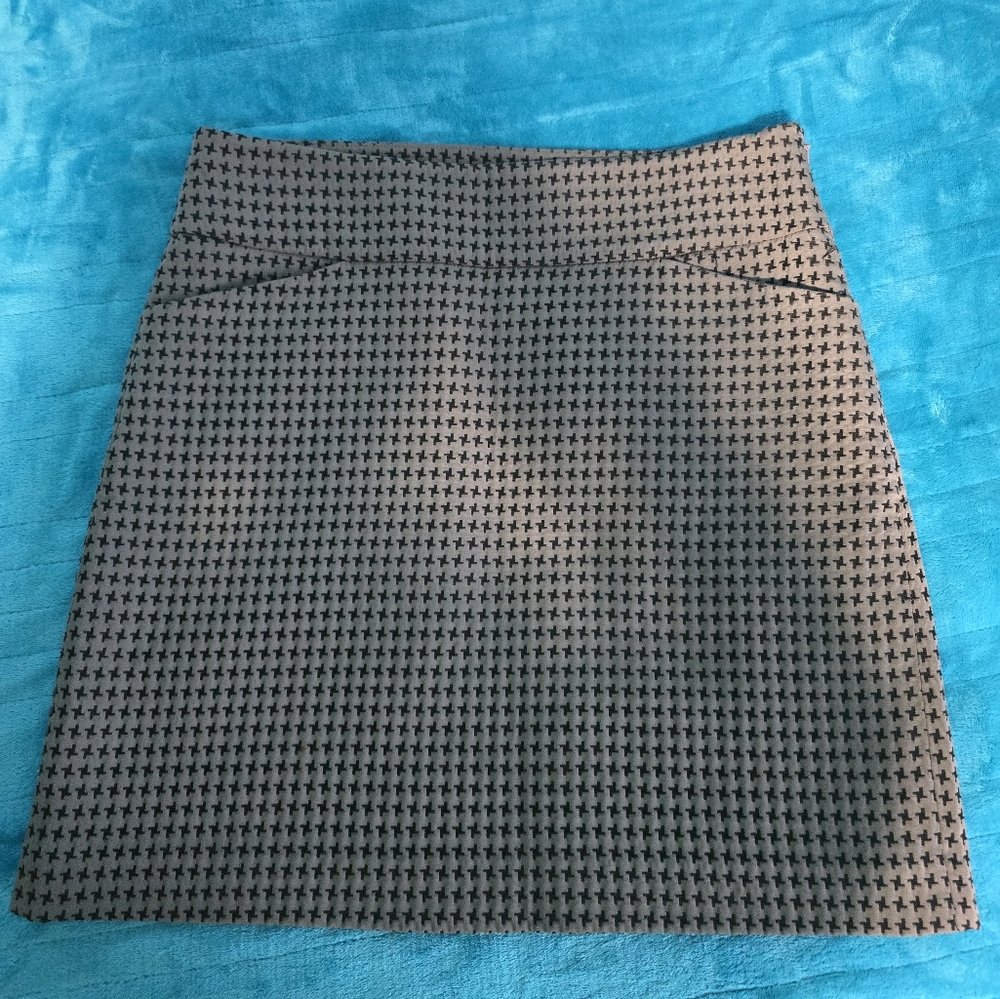 Ann Taylor Loft Skirt